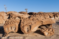 désert de Namib / Namib desert