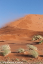 désert de Namib / Namib desert