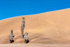 Namibie