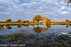 Khwai River