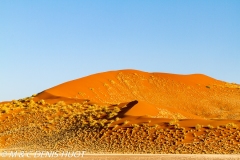 désert de Namib / Namib desert