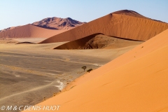 désert de Namib / Namib desert