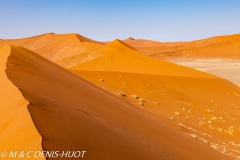 désert de Namib / Namib desert