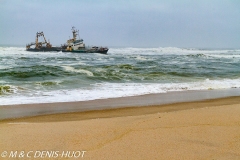 Skeleton coast