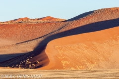 désert de Namib / Namib desert