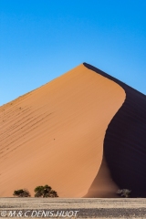 désert de Namib / Namib desert