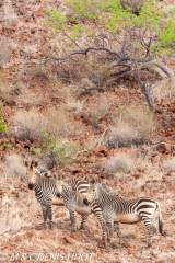 Damaraland