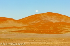 désert de Namib / Namib desert