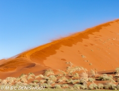 désert de Namib / Namib desert