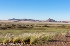 désert de Namib / Namib desert