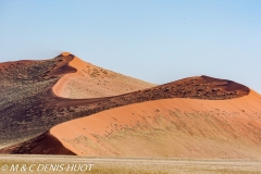 désert de Namib / Namib desert