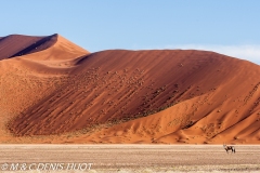 désert de Namib / Namib desert