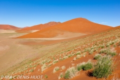 désert de Namib / Namib desert