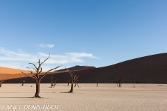 désert de Namib / Namib desert