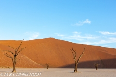 désert de Namib / Namib desert