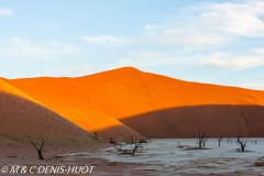 désert de Namib / Namib desert