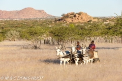 Damaraland