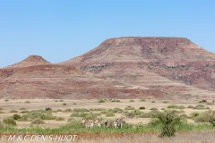 Damaraland