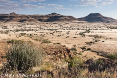 Damaraland