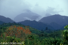 Volcans / Volcanos