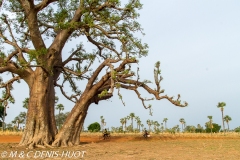 Burkina Faso