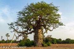 Burkina Faso