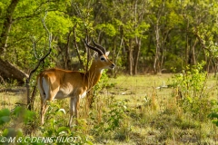 Burkina Faso