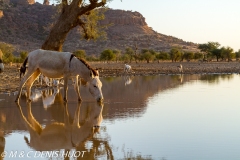 Mali