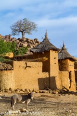 Mali