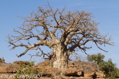 Mali