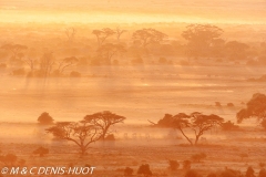 Parc national d'Amboseli / Amboseli national park