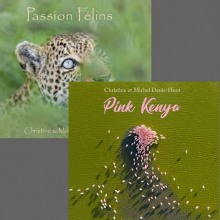 Pack Passion Felins+ Pink Kenya
