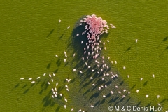 lac Magadi / lake Magadi