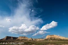 Bardenas Reales