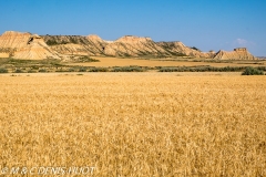 Bardenas Reales