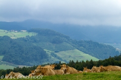 Euskadi