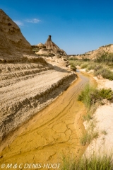 Bardenas Reales