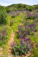 Parc national de Monfragüe // Monfragüe national park