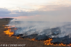 feu de brousse / bushfire