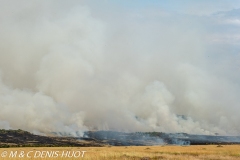 feu de brousse / bushfire