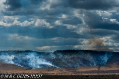 feu de brousse / bushfire