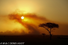 feu de brousse / bushfire