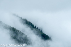 Pyrenees