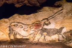 grotte de Lascaux / Lascaux cave