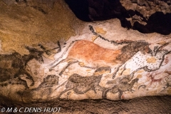 grotte de Lascaux / Lascaux cave