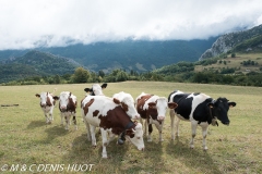 Vercors