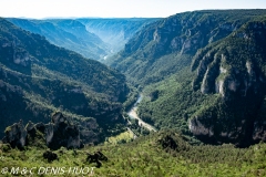 Gorges de la Jonte / Jonte Gorges