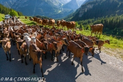 Vanoise