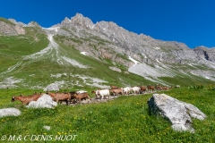 Vanoise