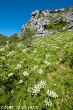 vallée du Lot / Lot valley